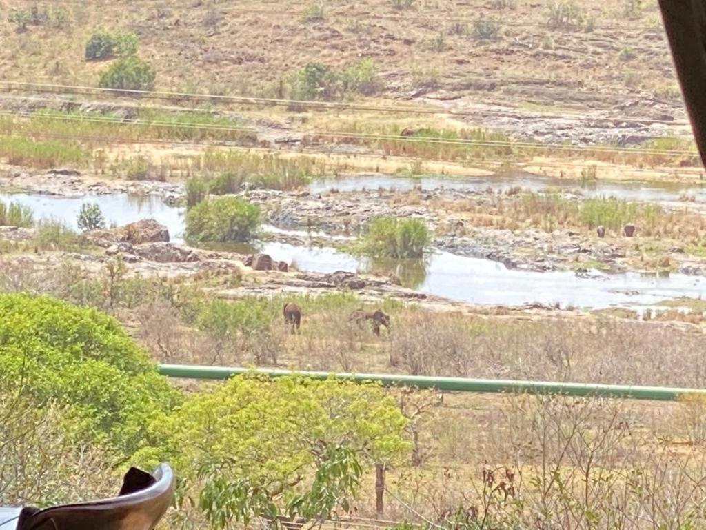 קומאטיפורט Croc River Lodge מראה חיצוני תמונה