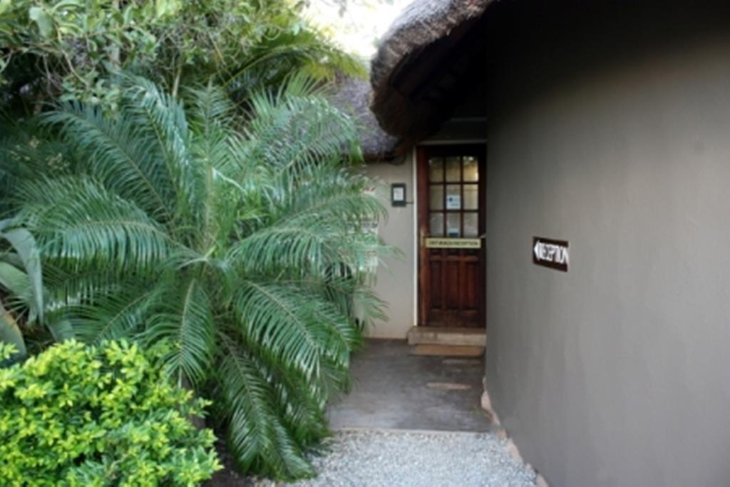 קומאטיפורט Croc River Lodge מראה חיצוני תמונה