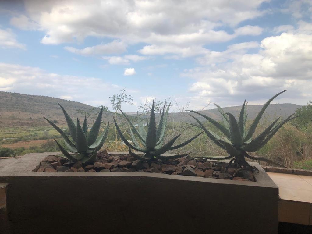 קומאטיפורט Croc River Lodge מראה חיצוני תמונה